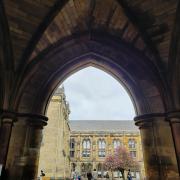 Through the cloisters at the University of Glasgow. And a pretty cherry blossom to brighten the day..