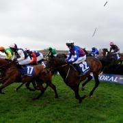 Nineteen people are to stand trial accused of trying to stop the Scottish Grand National