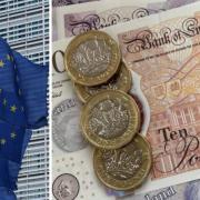 An informal currency union with the British pound sterling after independence would make it harder to join the EU, an expert has said