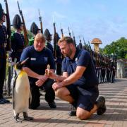 Sir Nils Olav was promoted to the rank of major general