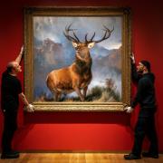 The Monarch of the Glen has been moved into its new position ahead of the opening of the Scottish galleries