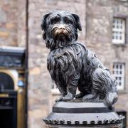 Greyfriars Bobby is commemorated with a statue near the church