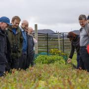 The Woodland Croft Project group visiting Horshader tree nursery