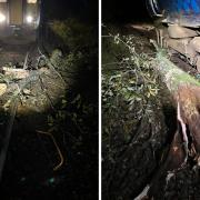 A tree fell on the train tracks between Glasgow and Oban as Storm Babet arrives