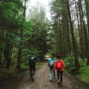 Land activist Andy Wightman is worried that forests are being excluded from land reform policies