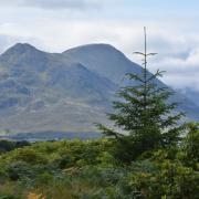 There are efforts being made by a development trust to tackle a housing shortage in Raasay