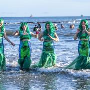 Mermaids dooking in Fife
