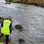 A Sepa agent looks at the Fruin Water