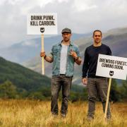 Does BrewDog's dying forest really represent value for money?