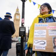 Anti-Brexit demonstrators stage their weekly protest of PMQs outside the House of Commons on February 28 in London, England