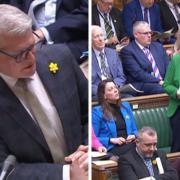 MPs are wearing a daffodils at PMQs today
