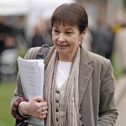 Caroline Lucas is living proof of the worth of a Green vote, writes Ellie Gomersall
