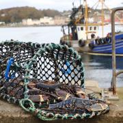 Shellfish caught using a creel are not damaged and neither is the seabed, MacNeil Shellfish say