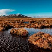 View over the peat bogs towards Ben Griam Beag, at Forsinard, in the Flow Country, Sutherland