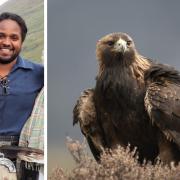 Hamza Yassin said golden eagles were his favourite bird of prey