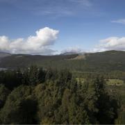 The largest recorded rise in jobs was at Trees for Life’s 4000-hectare Dundreggan estate near Loch Ness in the Highlands