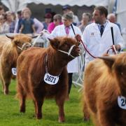 What will the weather be like at the Royal Highland Show this week?