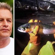 RSPCA president Chris Packham, and a file photo of a worker at a salmon farm on Loch Linnhe