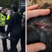 A police officer could be heard shouting 'run for your lives' at protesters, one of whom was hospitalised after an alleged baton blow to the head