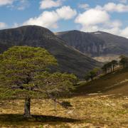 Generic shot of the Cairngorms National Park