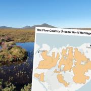 Scotland's newest World Heritage Site is the Flow Country