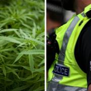 Police have seized a cannabis cultivation 'worth around £1.5m' in Peterhead