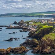 The fishing village of St Abbs seen from the southern side of St Abb's Head, Berwickshire, Scotland