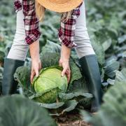 Farming verges on becoming an industrial process and the rate of change is affecting us all