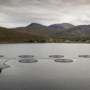 Members of Holyrood’s Rural Affairs and Islands Committee visited the fish farm in Dunstaffnage