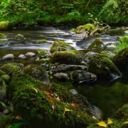 Those behind the project hope it will act as a blueprint for future conservation efforts across Scotland