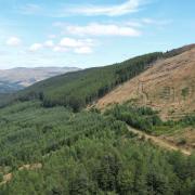 Leitters Forest is located in central Scotland