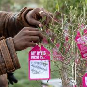 A person attaches a dying wish to a tree during an event in support of assisted dying law outside the Scottish Parliament in Edinburgh