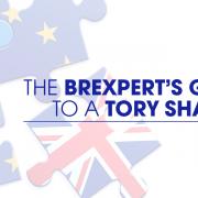 The Brexpert's Guide To A Tory Shambles