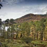 The Galloway National Park Association are hoping to secure national park status for the region