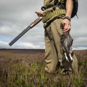 The Scottish Government hopes licencing will put an end to the illegal killing of birds of prey on upland estates