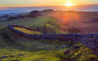 Hadrian's Wall has been damaged during the felling of the Sycamore Gap tree in Northumberland