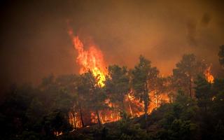 Holidaymakers were evacuated from their hotels and left their belongings behind as the huge flames crawled closer