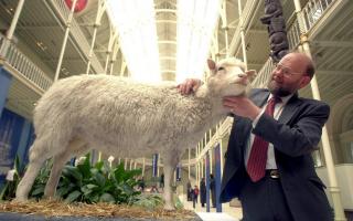 Prof. Ian Wilmut of the Roslin Institute with Dolly the sheep as she takes her place as a permanent exhibit in the Royal Museum of Scotland