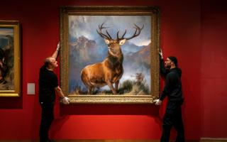 The Monarch of the Glen has been moved into its new position ahead of the opening of the Scottish galleries