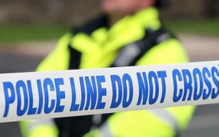 Police are appealing for information following a brutal attack in a Midlothian town.