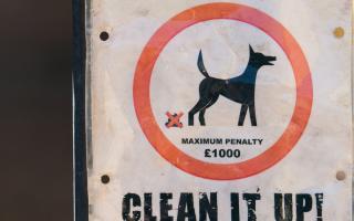 Locals and staff urged dog walkers to take any mess away with them