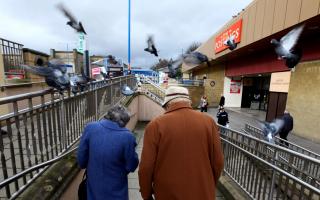 Pigeons fly over the heads of two senior citizens in Kirkcaldy. Archive photo