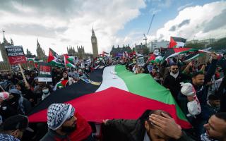 Pro-Palestine protesters make their voices heard in London