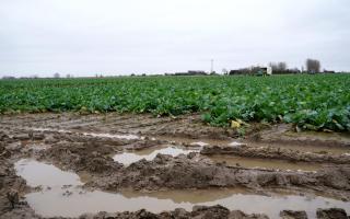 The Scottish Government has been urged to introduce legislation to protect soil