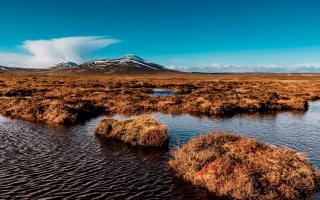 View over the peat bogs towards Ben Griam Beag, at Forsinard, in the Flow Country, Sutherland