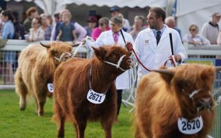 What will the weather be like at the Royal Highland Show this week?