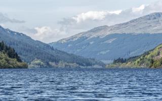 Forestry and Land Scotland polluted Loch Eck, which is home to Scotland’s rarest freshwater fish, the powan, and Loch Lussa, a protected site