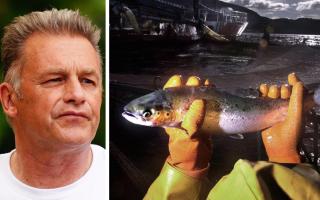 RSPCA president Chris Packham, and a file photo of a worker at a salmon farm on Loch Linnhe