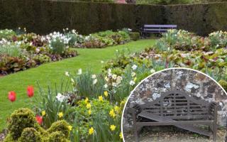 The Greenbank Gardens heritage site faced 'weeks' of vandalism in June