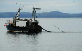 An inshore prawn trawler registered at Greenock, fishing in Largs Bay